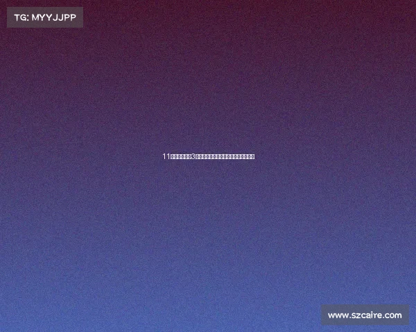 11万多拿下宝马3系，体验运动操控，圆你蓝天白云梦！